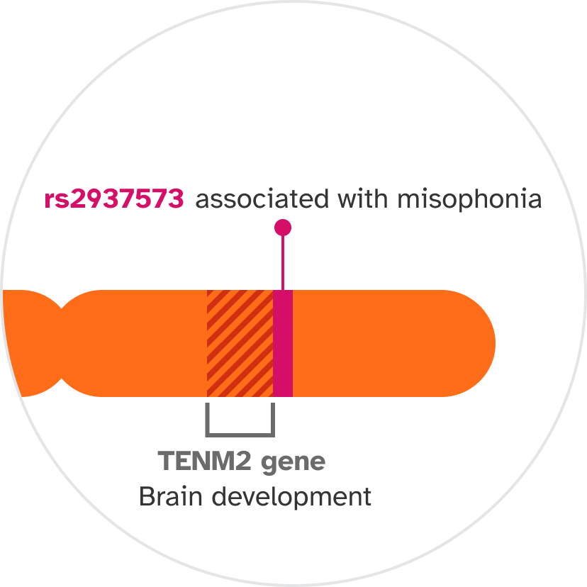 chromosome.png